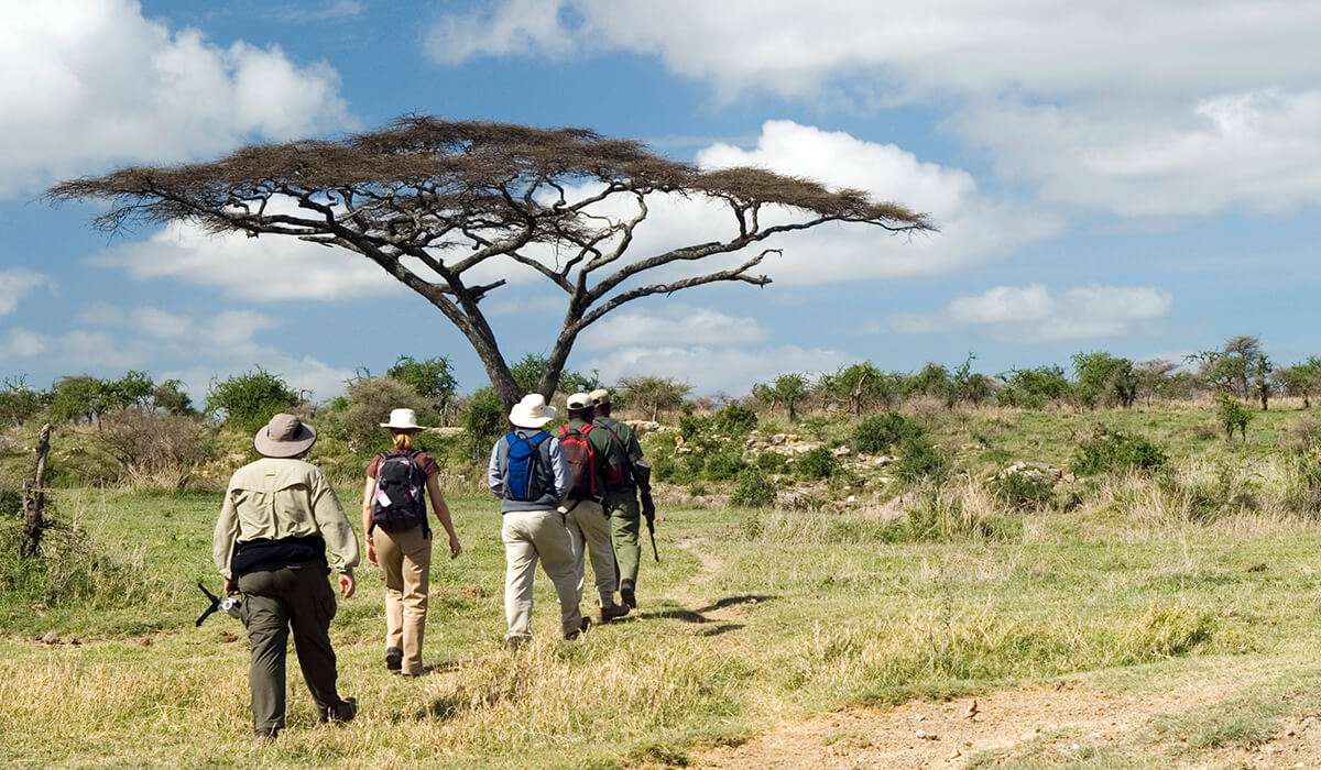 Walking safaris